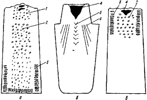 90