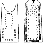 96