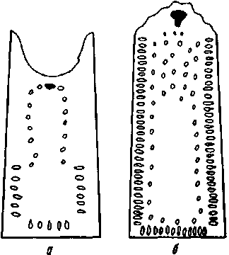 96